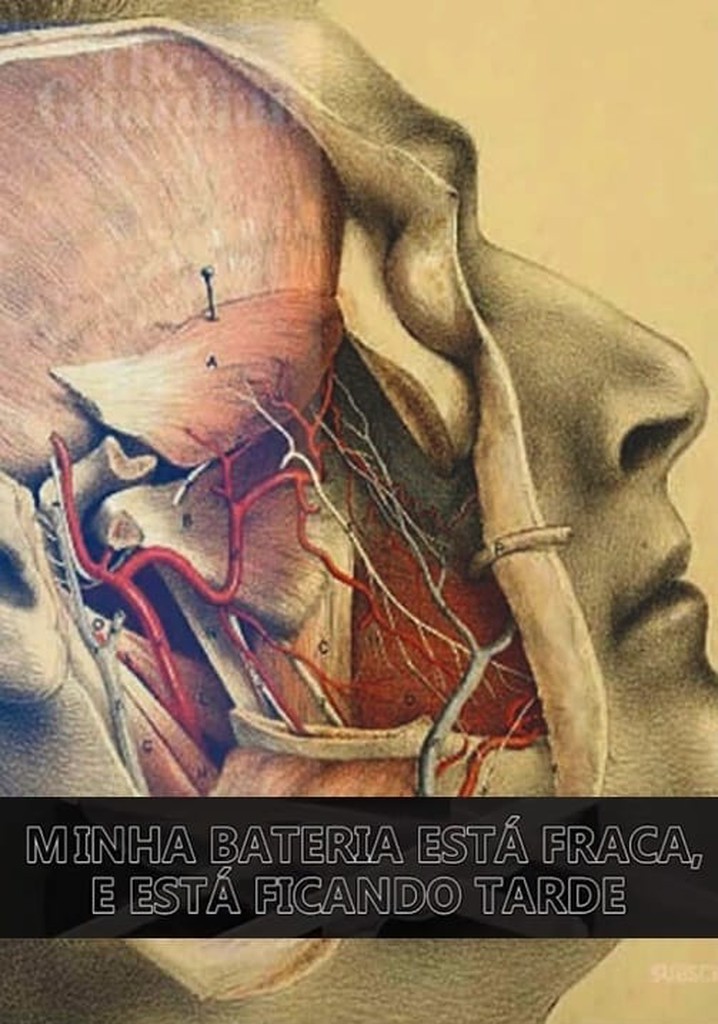 Minha Bateria Está Fraca e Está Ficando Tarde