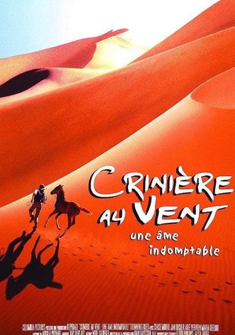 Crinière au vent, une âme indomptable