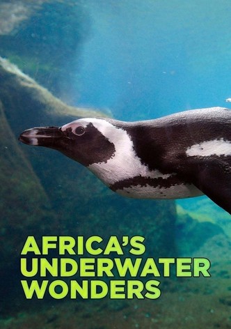 Africa s Underwater Wonders stream online