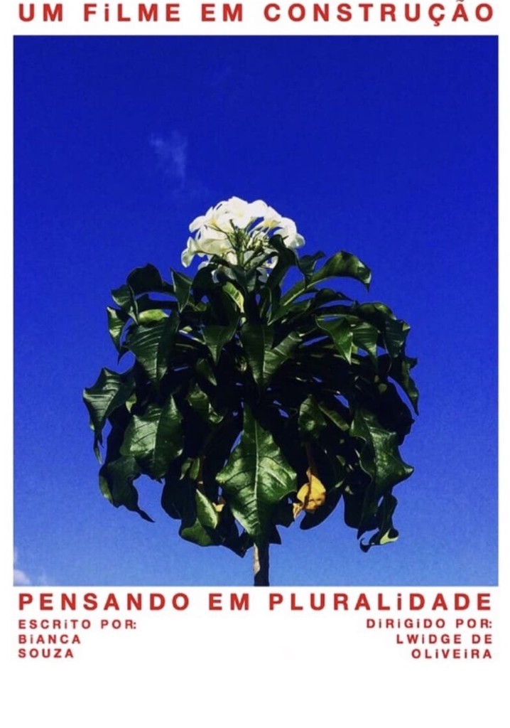 Pensando em Pluralidade