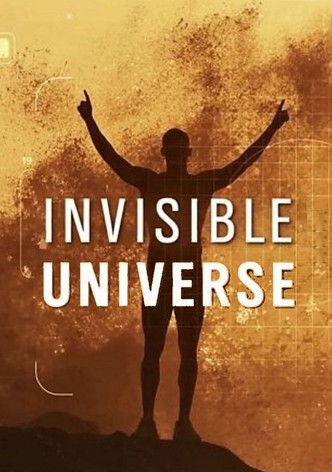 Invisible Universe