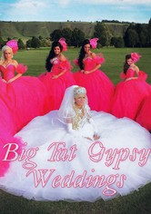 My Big Fat Gypsy Wedding streaming online