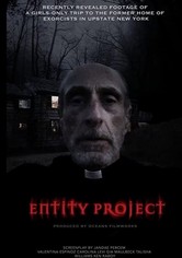Entity Project