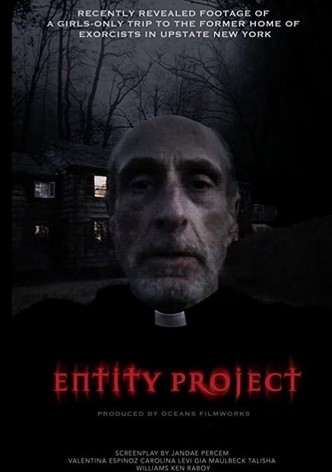 Entity Project