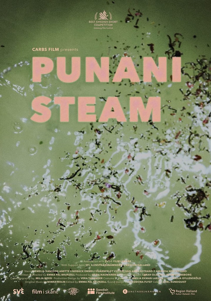 Punani Steam
