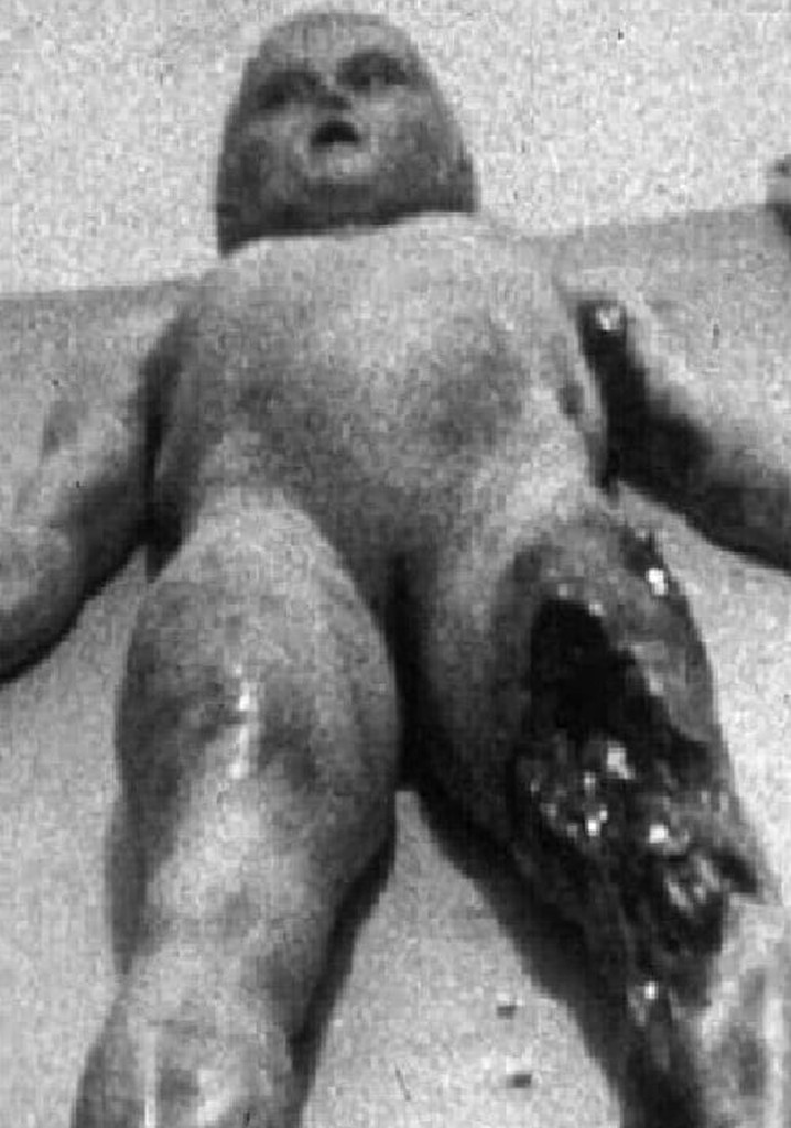 The Alien Autopsy