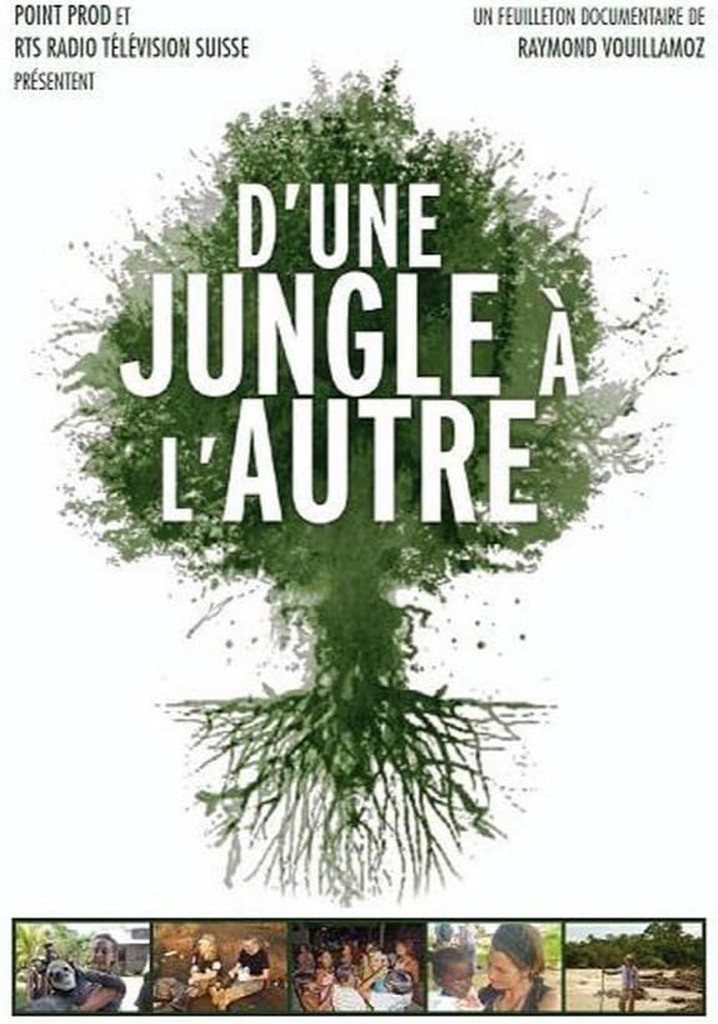 D’une jungle à l’autre