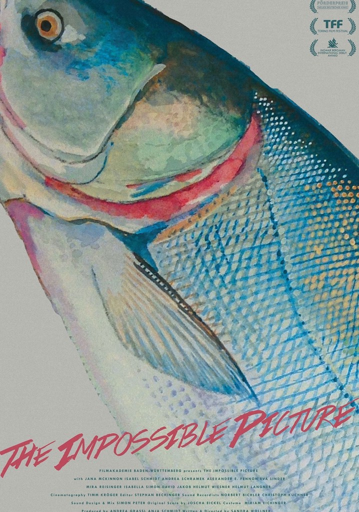 The Impossible Picture