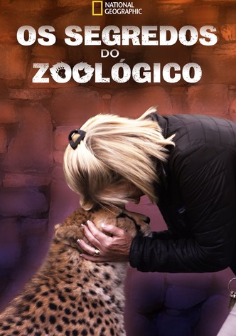 Segredos do Zoológico