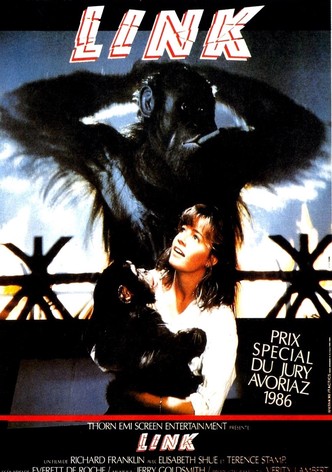 Le chaînon manquant