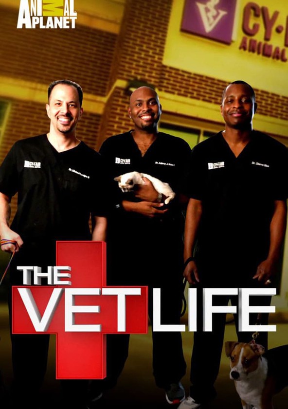 The vet life full episodes free online new arrivals