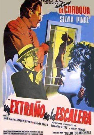 Un extraño en la escalera