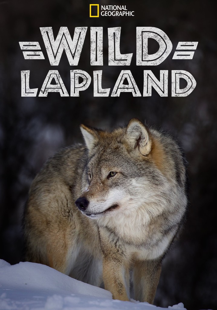Wild Lapland