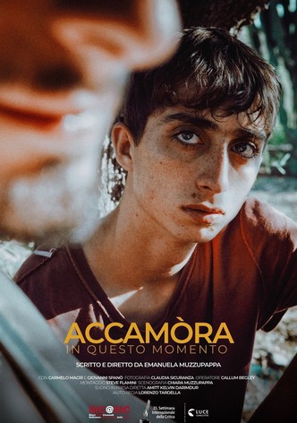 Accamòra (In questo momento)