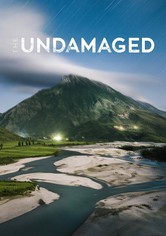 The Undamaged