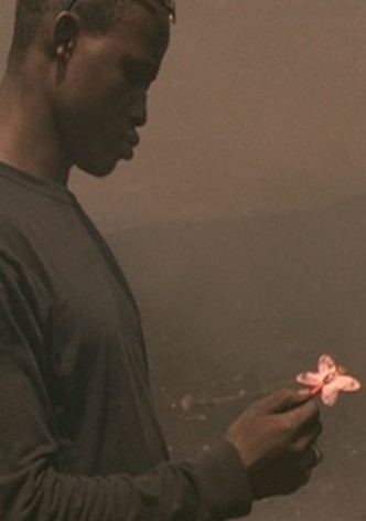 Waste no.6 How Great