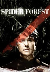 Spider Forest