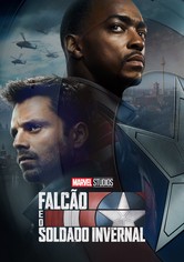 O Falcão e o Soldado do Inverno