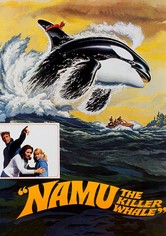 Namu, the Killer Whale