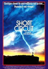 Court-circuit