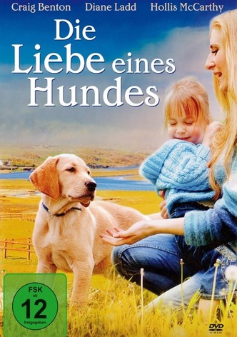 Die Liebe eines Hundes