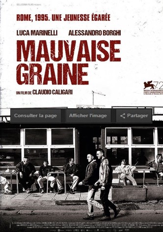 Mauvaise graine