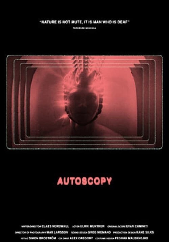 Autoscopy