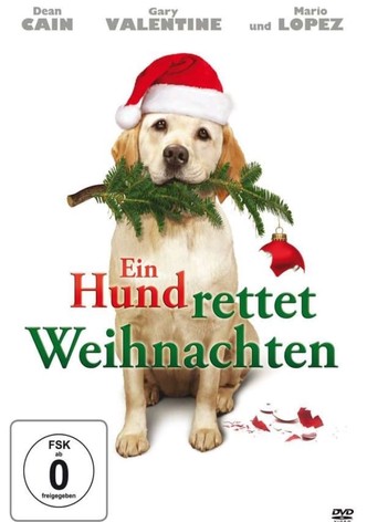 Ein Hund rettet Weihnachten