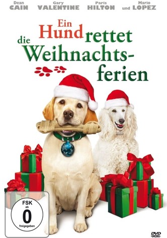 Ein Hund rettet die Weihnachtsferien