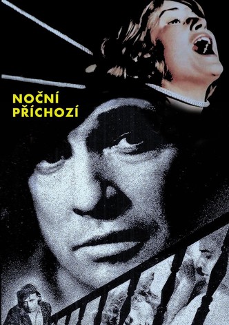 Noční příchozí