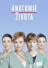 Anatomie života - 1. sezóna
