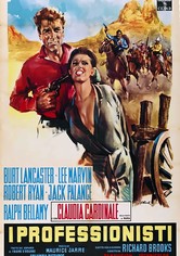 I professionisti