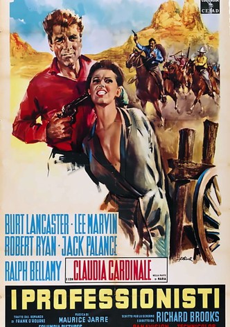 I professionisti