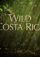 Wild Costa Rica