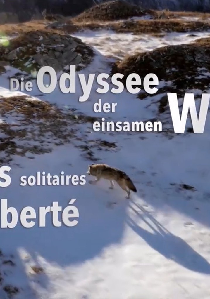 Die tödliche Grenze