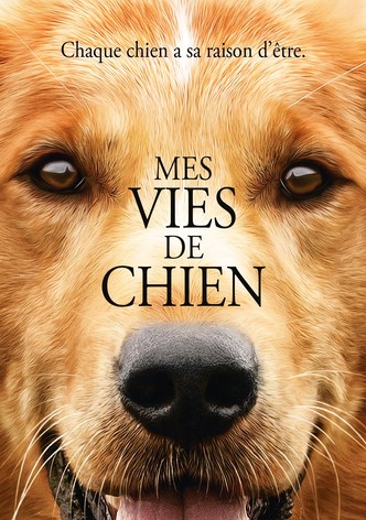 Mes vies de chien