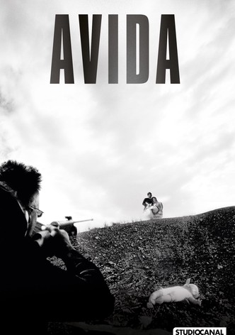 Avida