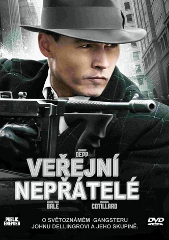 Veřejní nepřátelé