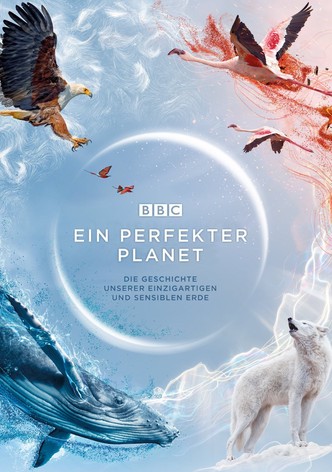 Ein perfekter Planet