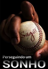 Perseguindo um Sonho
