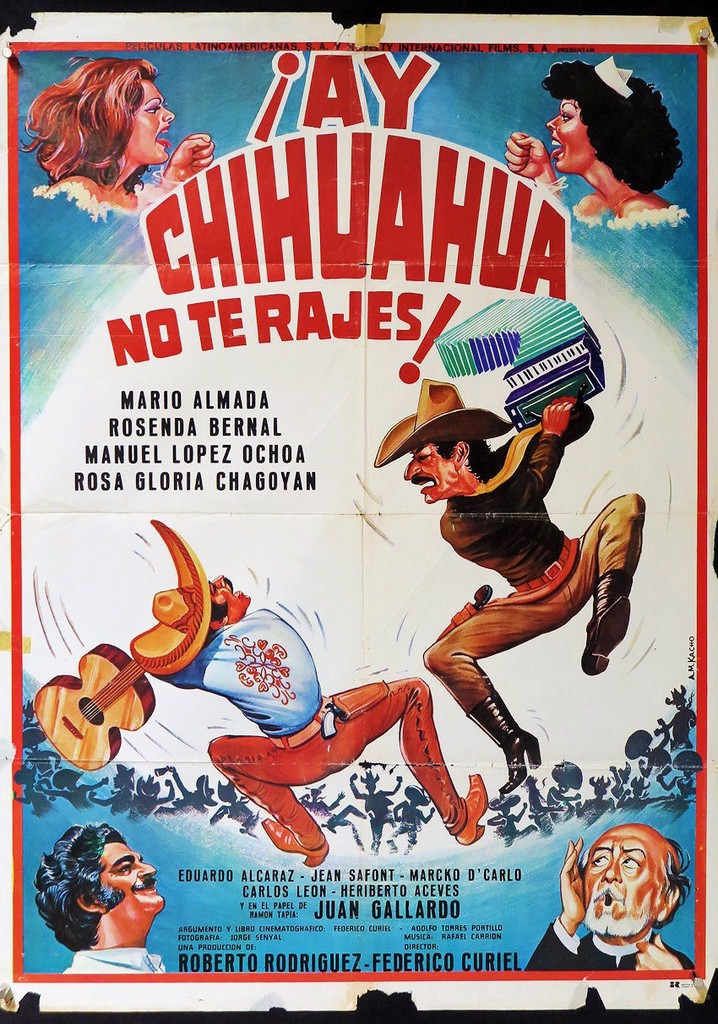 Ay Chihuahua no te rajes streaming: watch online