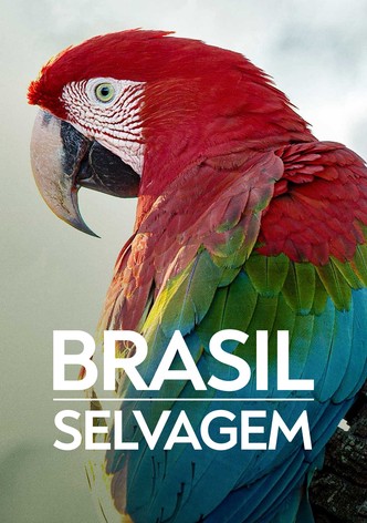 Brasil Selvagem