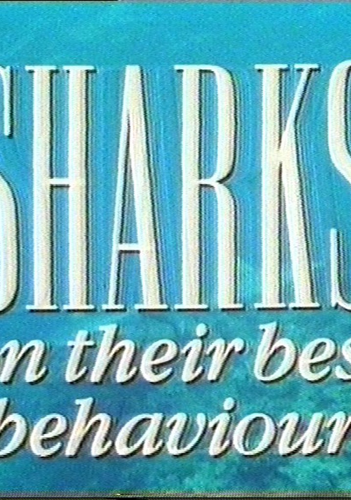 Sharks on their Best Behavior streaming online