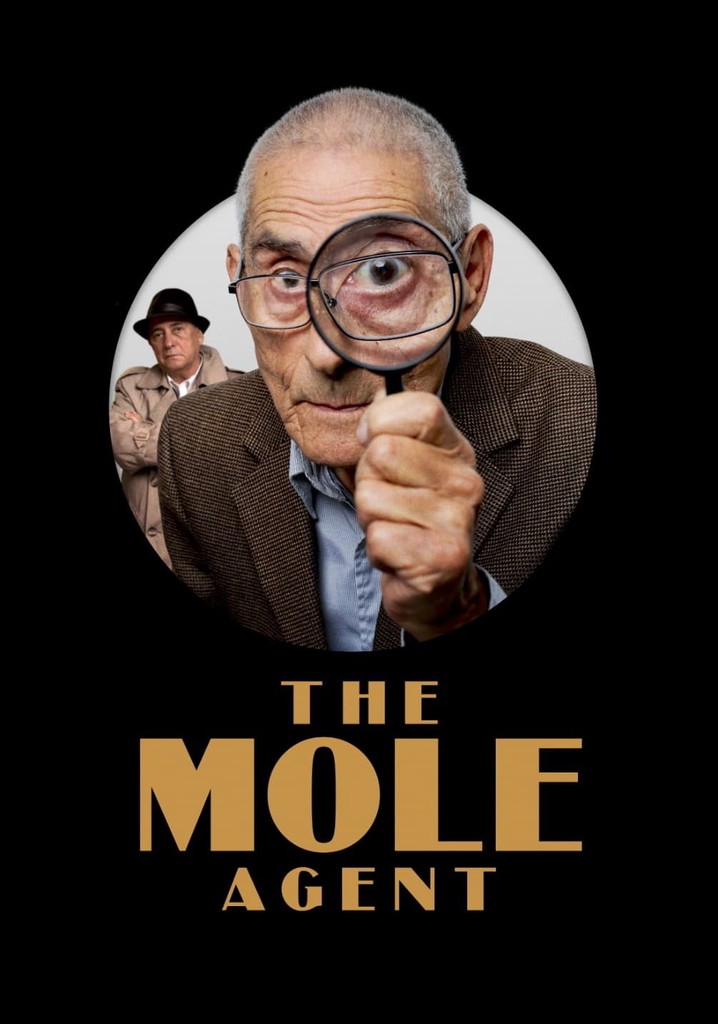 The Mole Agent movie watch stream online