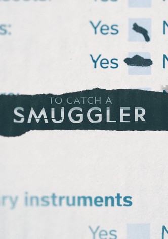 Traficantes: Estados Unidos