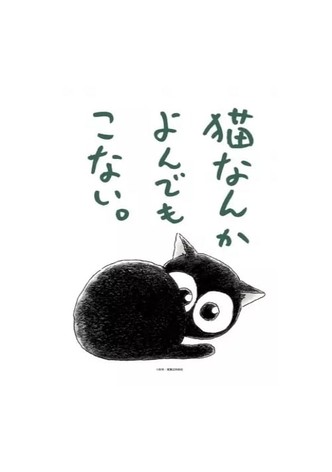 Cats Don't Come When You Call