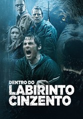 No Labirinto dos Ursos