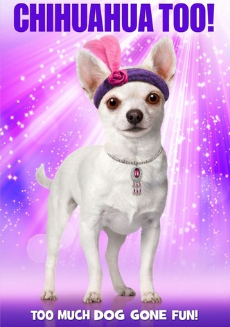 Chihuahua el fantasma