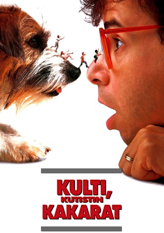 Kulti, kutistin kakarat