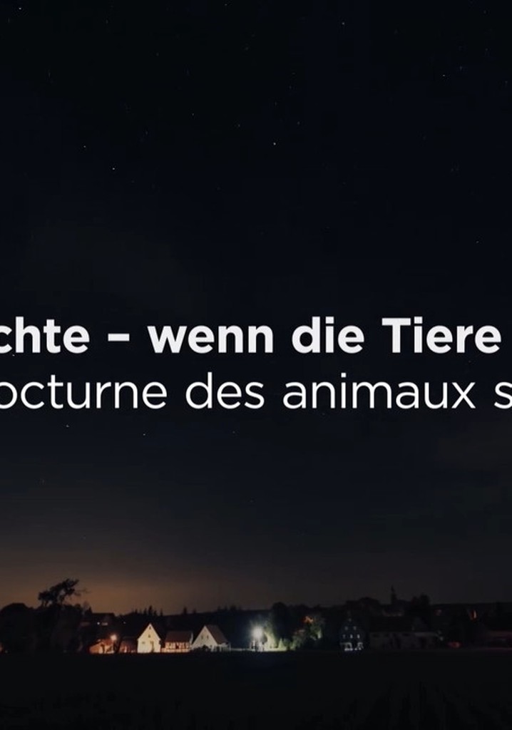 Wilde Nächte - Wenn die Tiere erwachen